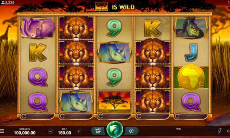 African Quest Slot