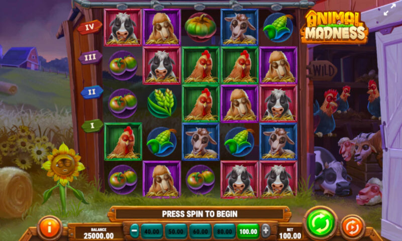 Animal Madness Slot