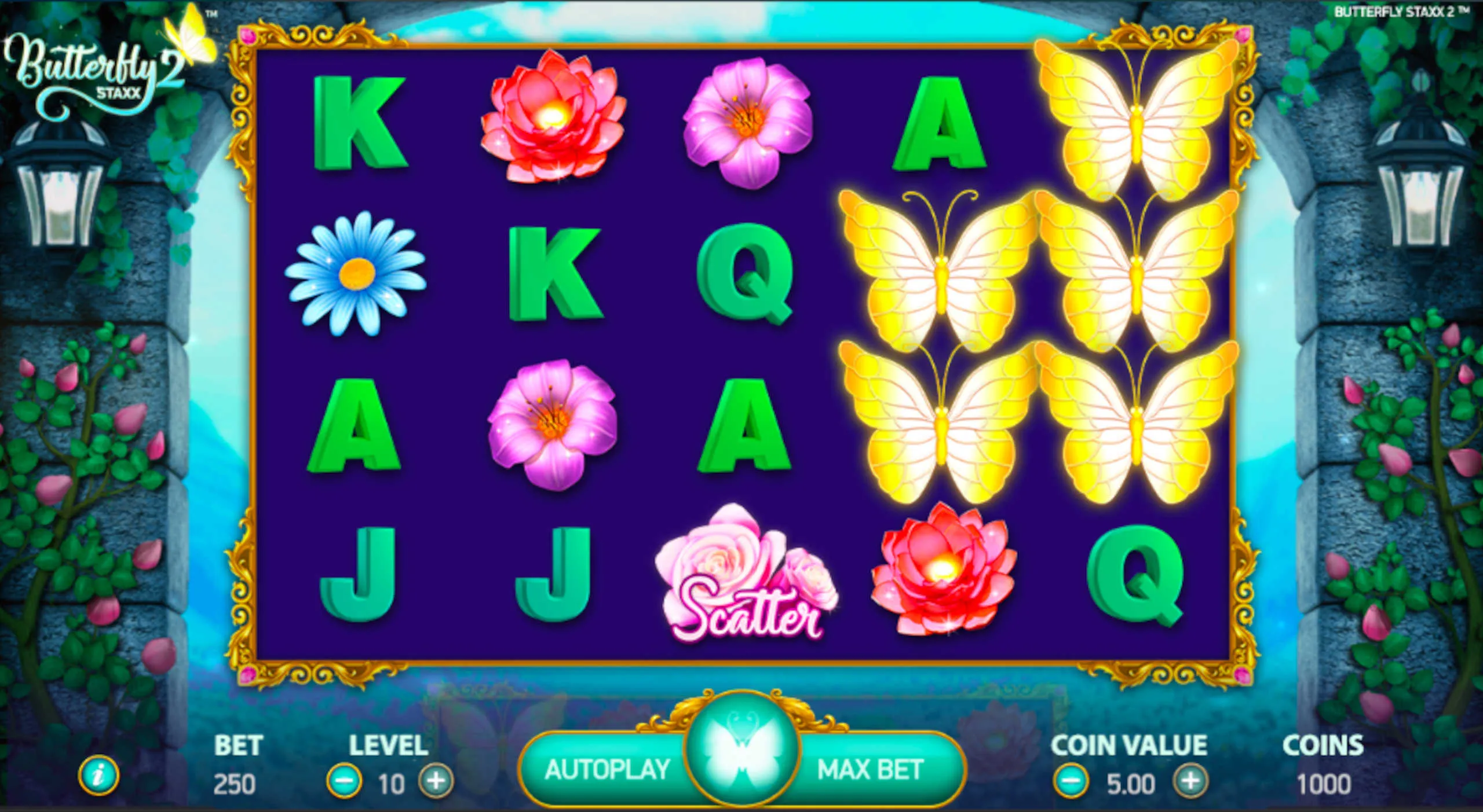 Butterfly Staxx 2