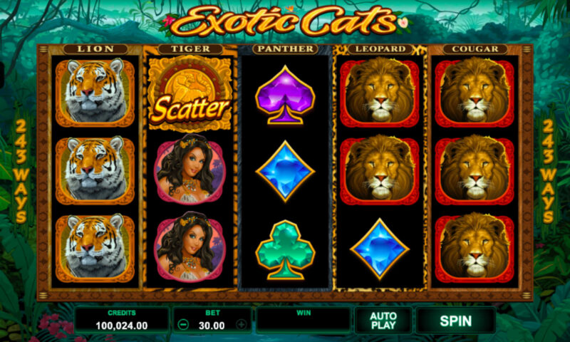 Exotic Cats Slot