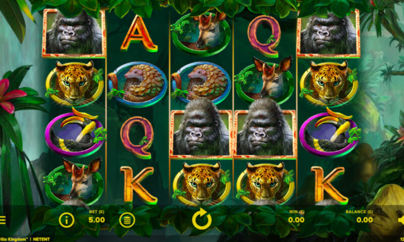 Gorilla Kingdom Slot