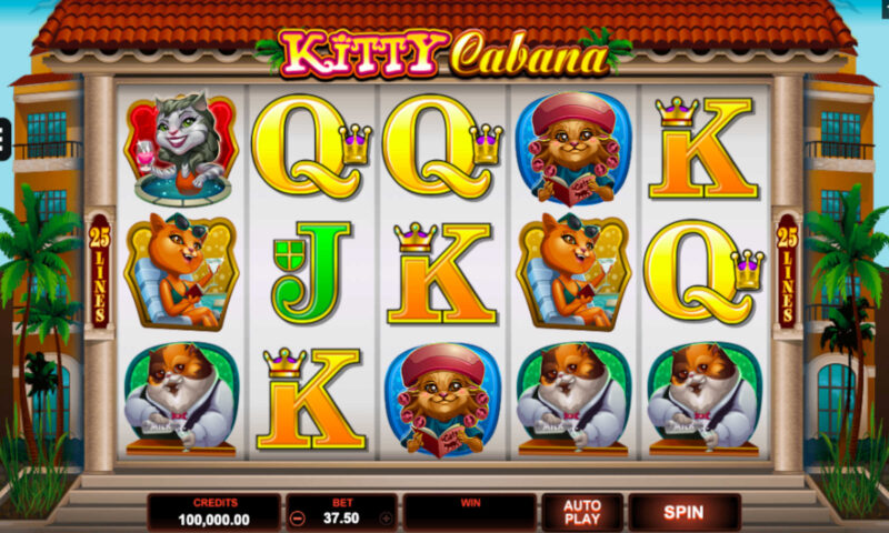 Kitty Cabana Slot