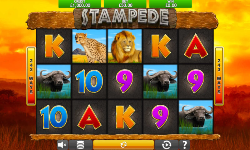 Stampede Slot