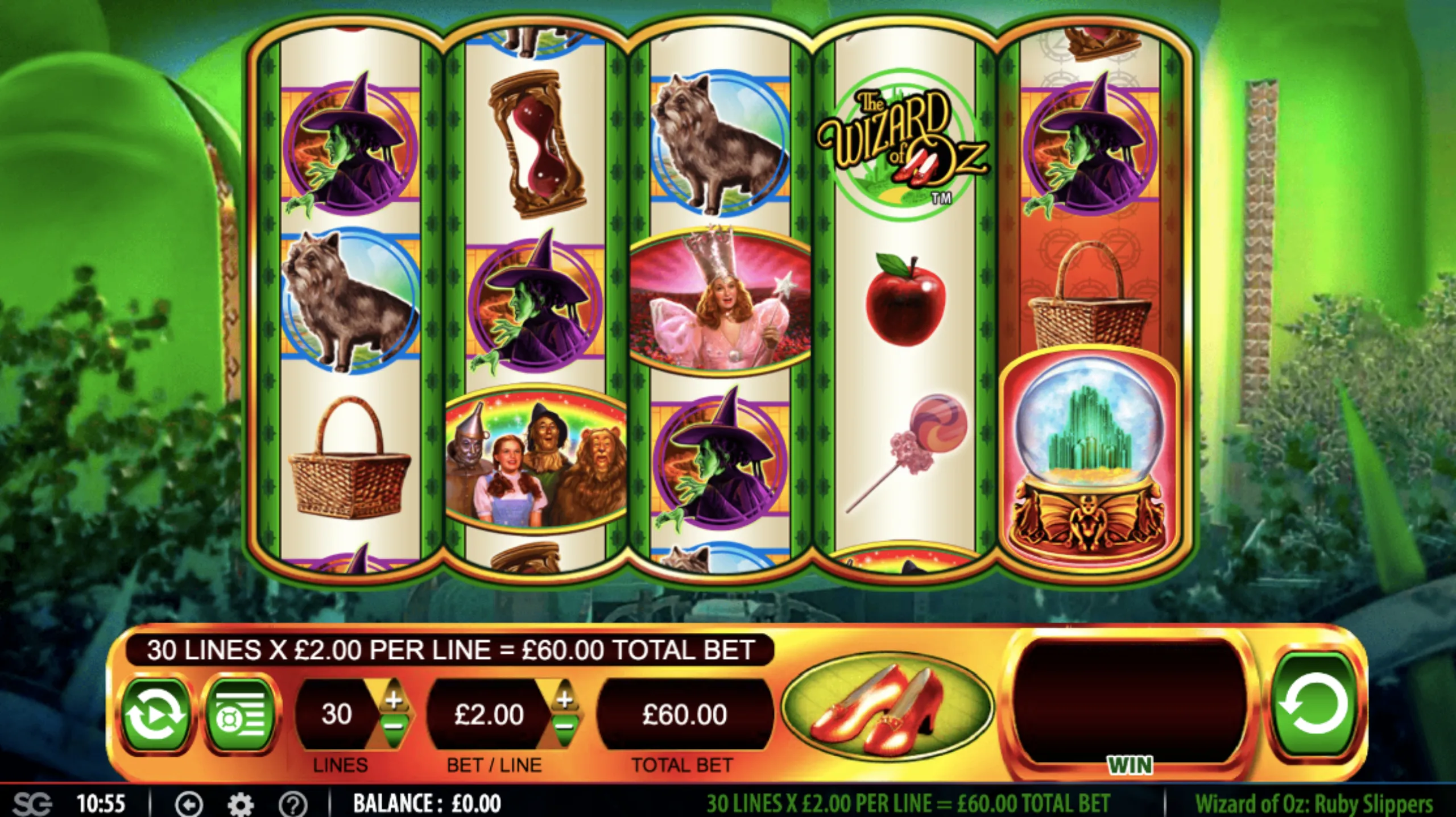 The Wizard Of Oz Ruby Slippers