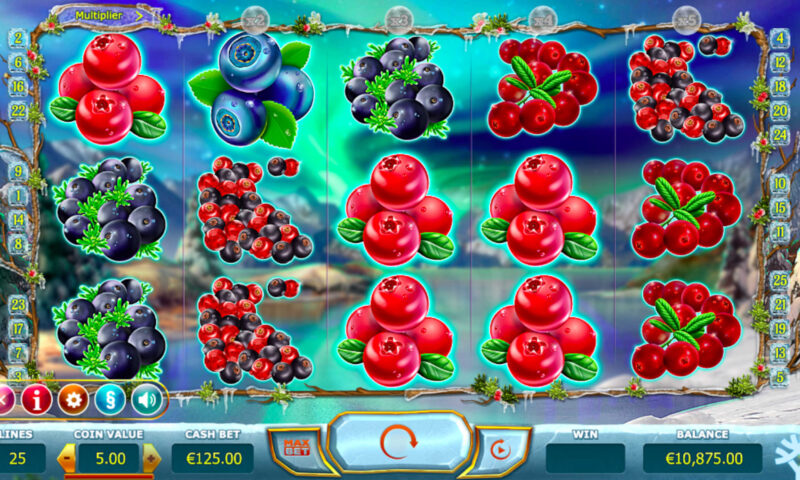 Winter Berries Slot